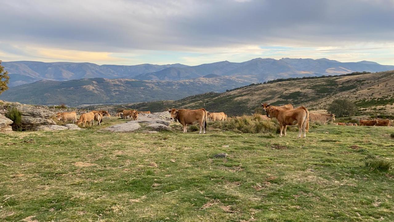 El Pajar De Tio Mariano Villa Solana de Avila Exteriör bild